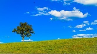 臨床研究オプトアウト